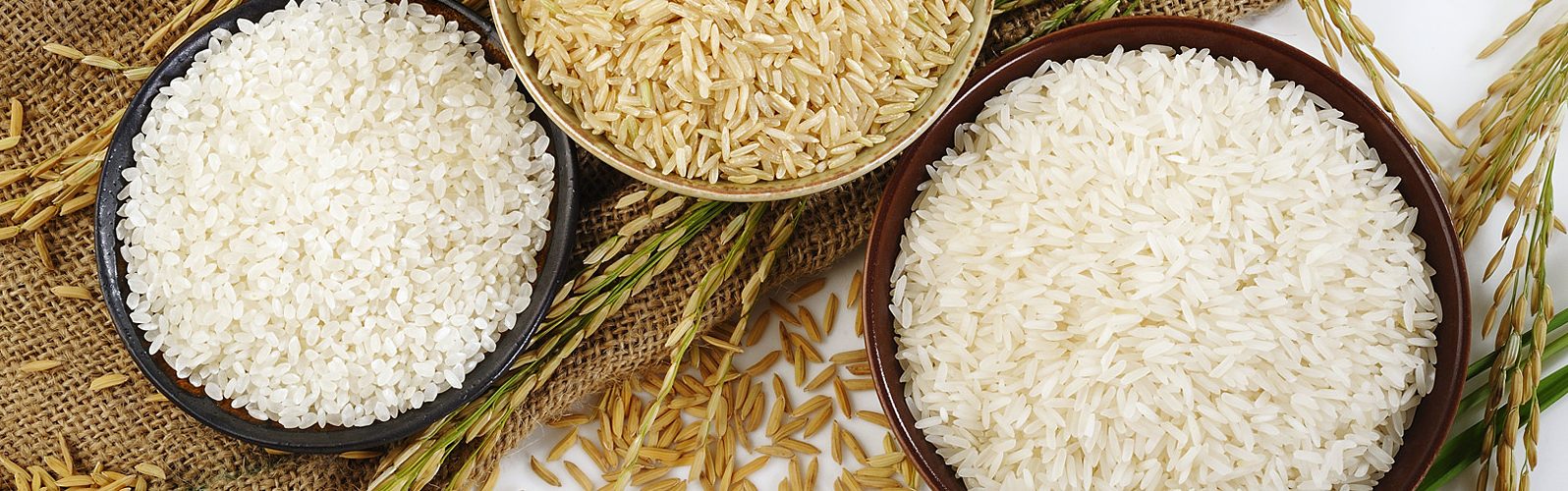 GPS Rice Mill